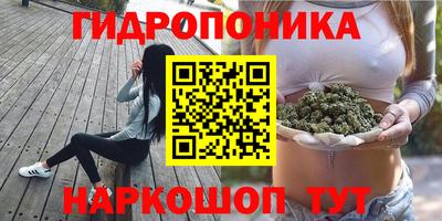 дживик Владимир