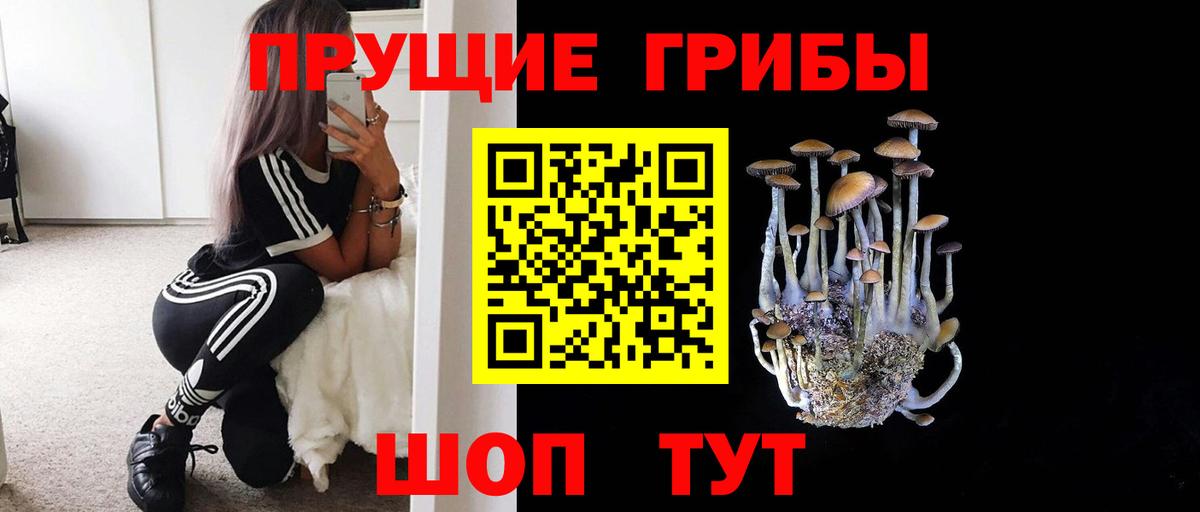 Псилоцибиновые грибы Magic Shrooms  Вход с VPN  Губаха 